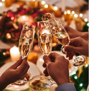 Champagne Bollinger-Grande Année 2015-grands champagnes|vin-malin.fr