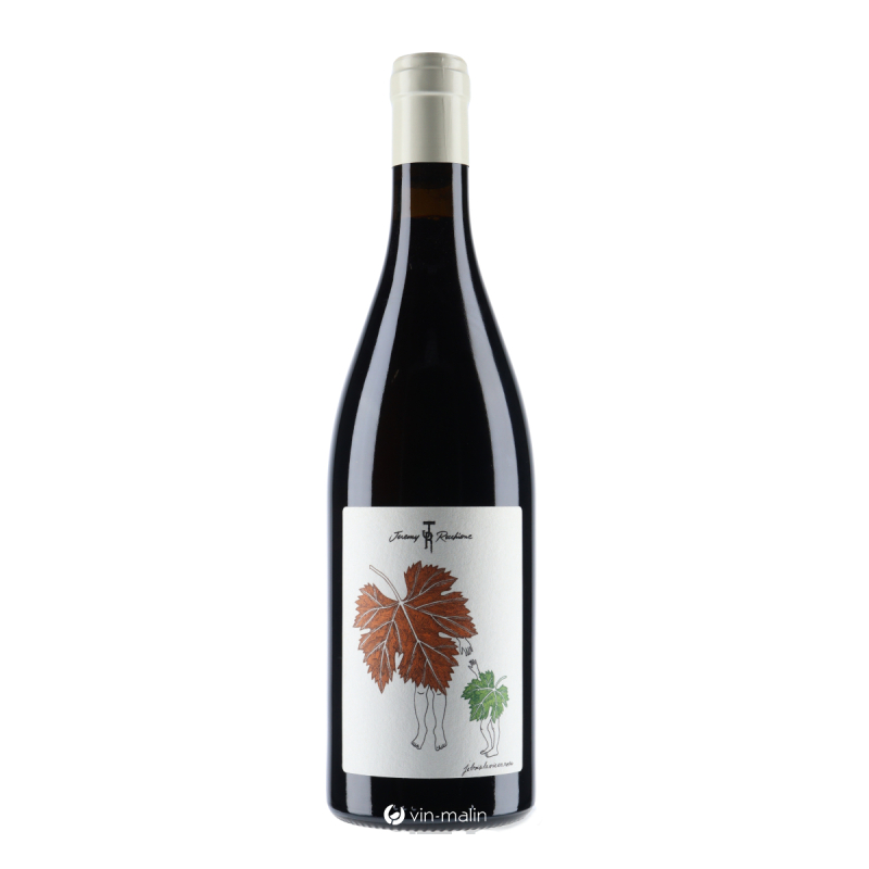 Jeremy Recchione Coteaux Bourguignons Rouge 2022 -Bourgogne| Vin-malin