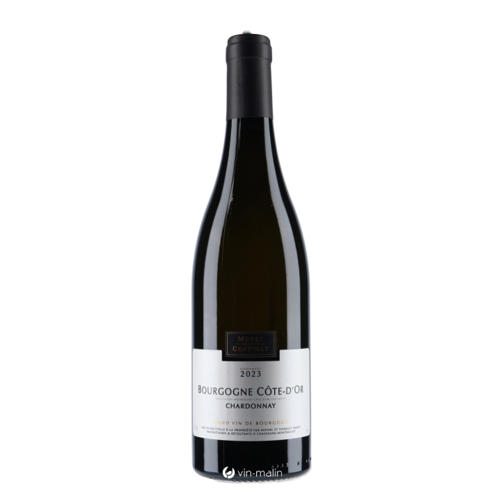 Domaine Morey-Coffinet Bourgogne Côte D'Or Chardonnay 2023