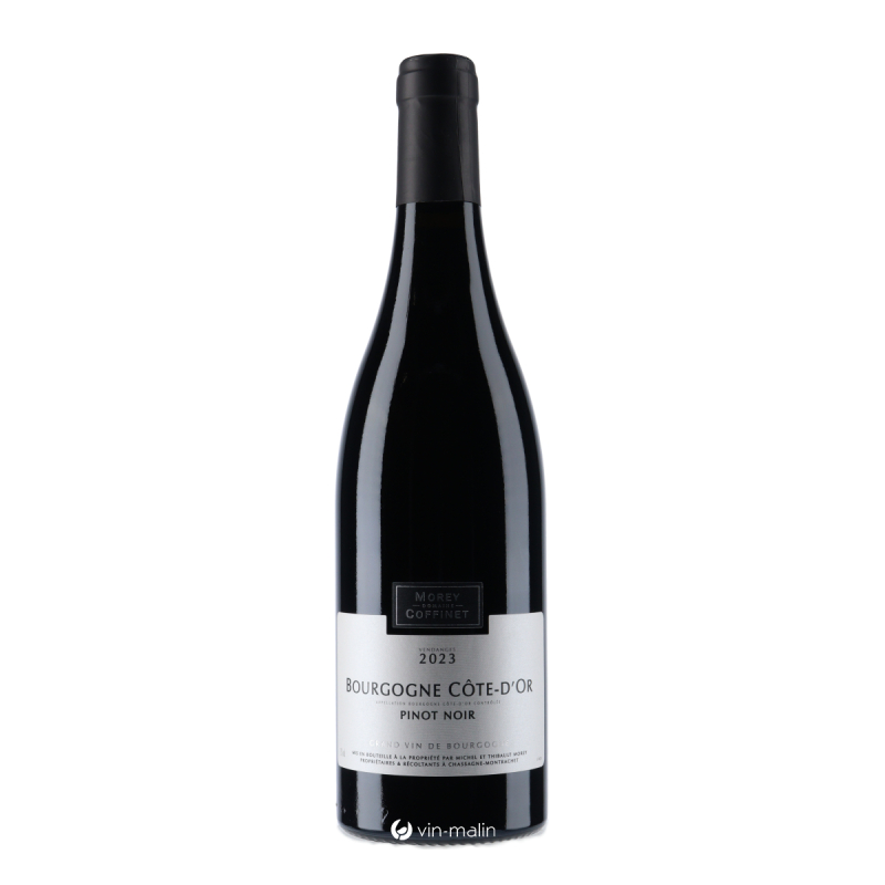 Morey-Coffinet Bourgogne Côte D'Or Pinot Noir 2023 | Vin-malin