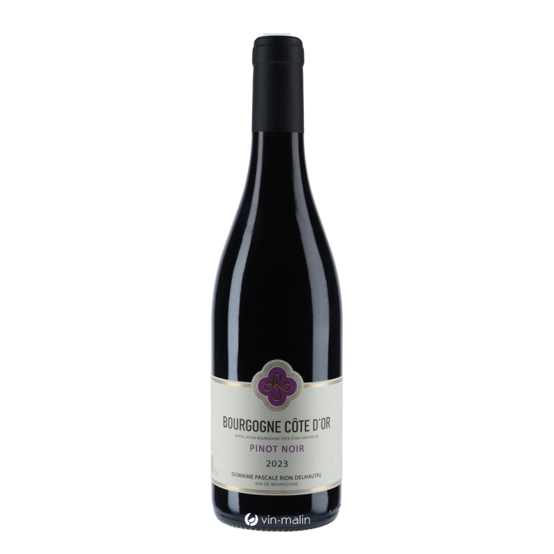 Pascale Rion-Delhautal Bourgogne Côte D'Or Pinot Noir 2023