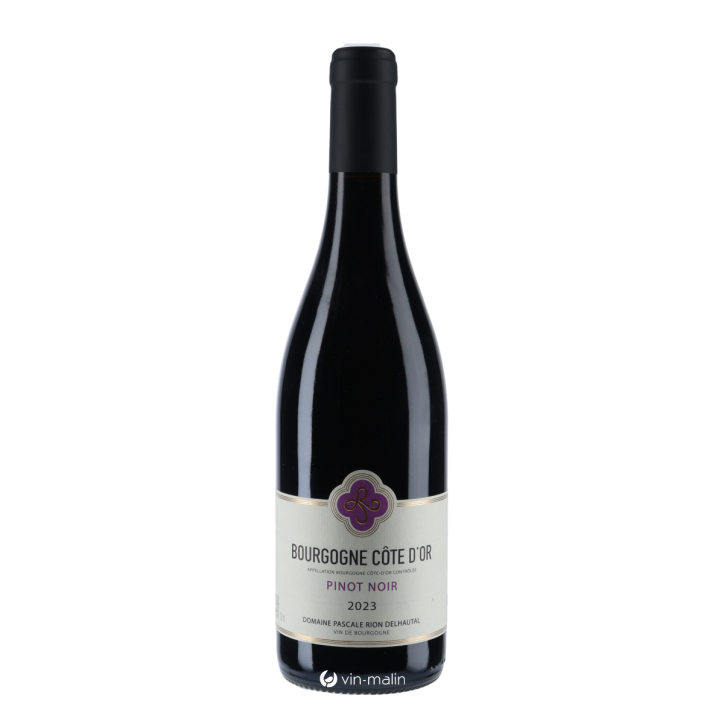 Pascale Rion-Delhautal Bourgogne Côte D'Or Pinot Noir Rouge 2023