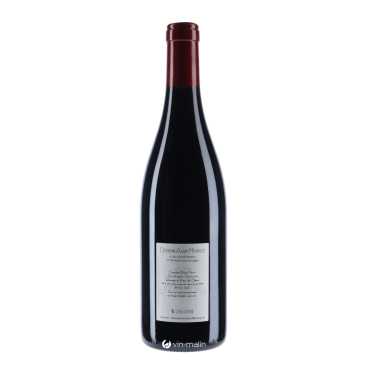 Alain Michelot Nuits Saint Georges 2020 - vin de Bourgogne | Vin-malin
