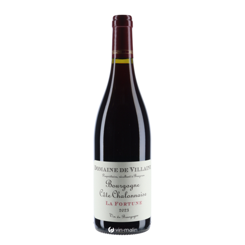De Villaine Bourgogne Cote Chalonnaise "La Fortune" 2023 | Vin-malin