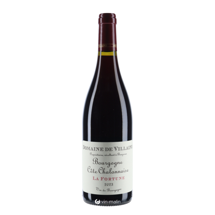 Domaine De Villaine Bourgogne Côte Chalonnaise "La Fortune" Rouge 2023