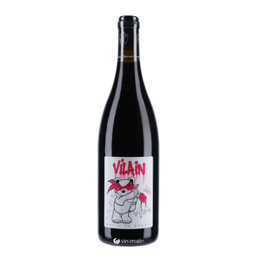 Matthieu Barret Vin de France Vilain Rouge 2022 - vin Rhône |Vin-malin