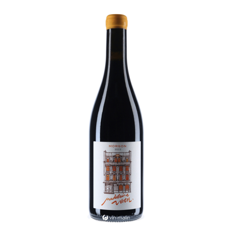 Madeleine Victor - Morgon 2022 - Beaujolais|vin-malin