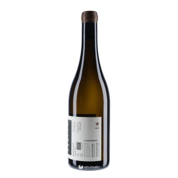 Domaine Cyprien Arlaud Bourgogne Chardonnay Scritch 2022 | Vin-malin
