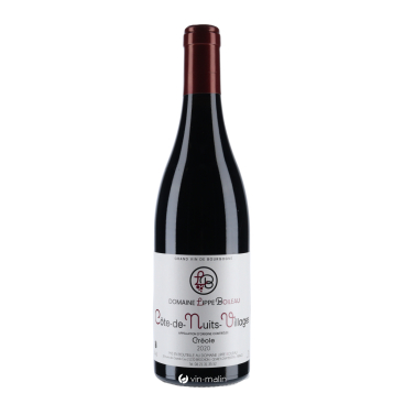 Domaine Lippe-Boileau Côtes De Nuits Villages  Rouge 2020 | Vin-malin