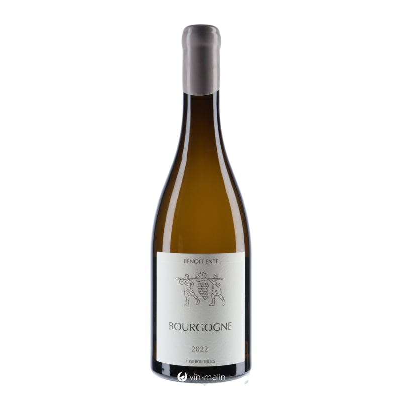 Domaine Benoit Ente Bourgogne Chardonnay Blanc 2022|Vin-malin