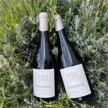 Domaine Benoit Ente Bourgogne Chardonnay Blanc 2022|Vin-malin