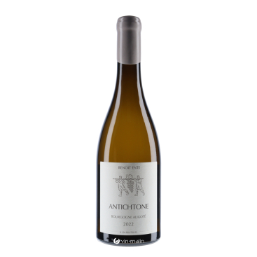 Domaine Benoit Ente Bourgogne Aligoté Antichtone Blanc 2022|Vin-malin