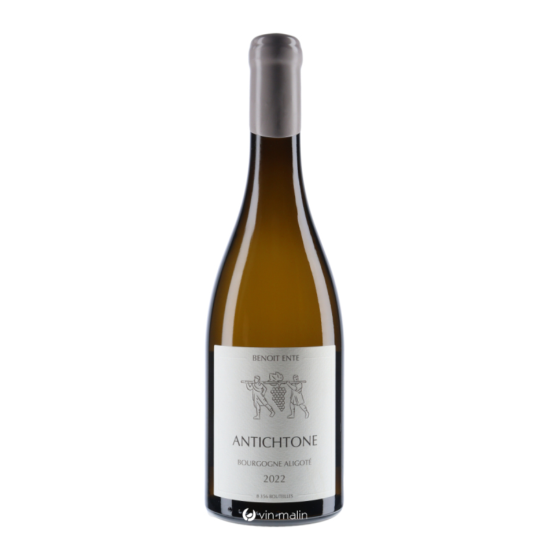 Domaine Benoit Ente Bourgogne Aligoté Antichtone Blanc 2022|Vin-malin