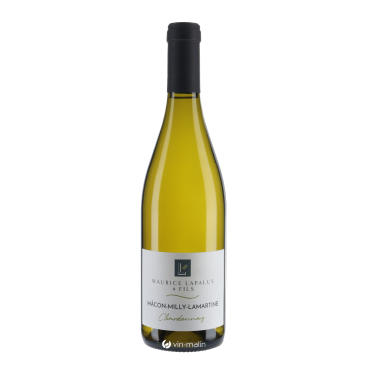 Maurice Lapalus Mâcon Milly-Lamartine Blanc 2024 - Bourgogne|Vin-malin