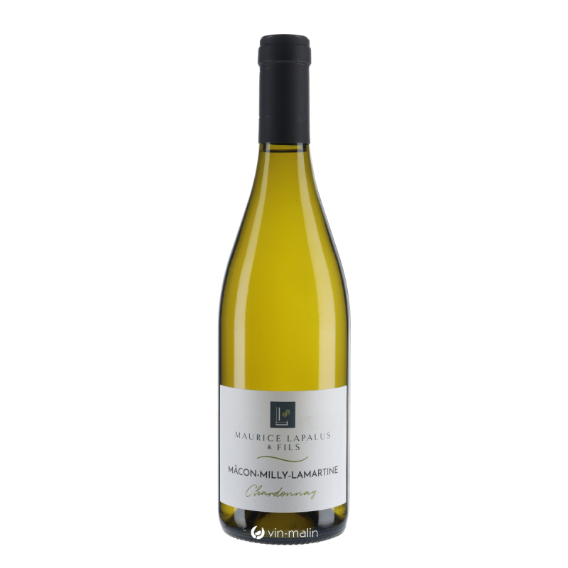 Maurice Lapalus Mâcon Milly-Lamartine Blanc 2024 - Bourgogne|Vin-malin