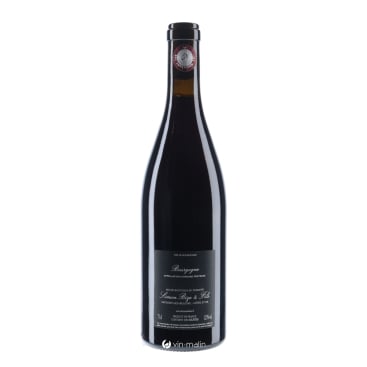 Simon Bize Bourgogne Pinot Noir "Les Perrières" Rouge 2022 | Vin-malin