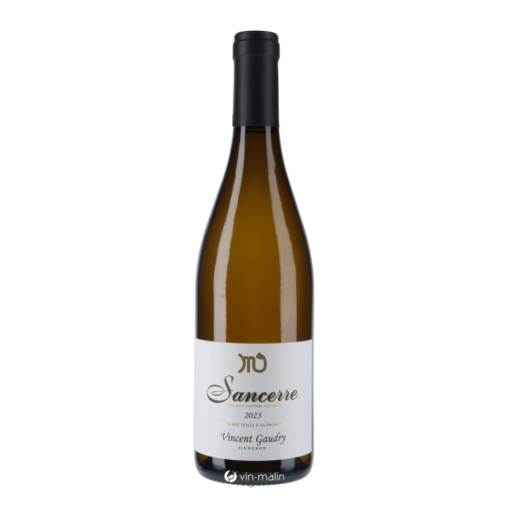 Vincent Gaudry Sancerre "Constellation Du Scorpion" 2023