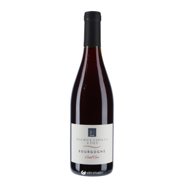 Lapalus - Bourgogne Pinot Noir Rouge 2024 - vin de Bourgogne|Vin Malin