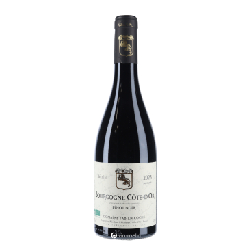 Fabien Coche Bourgogne Côte d'Or Pinot Noir 2023 - Achat | Vin Malin