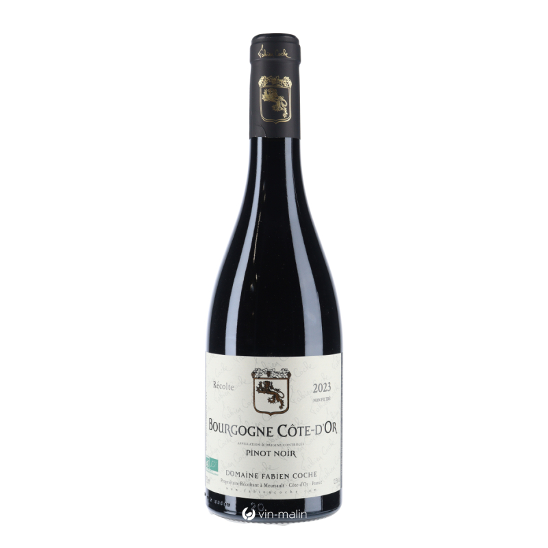 Fabien Coche Bourgogne Côte d'Or Pinot Noir 2023 - Achat | Vin Malin Fabien Coche Bourgogne Côte d'Or Pinot Noir 2023 - Achat | Vin Malin