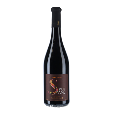 Achat Chinon Pur Sans 2024 Couly Dutheil rouge Loire bio | Vin Malin