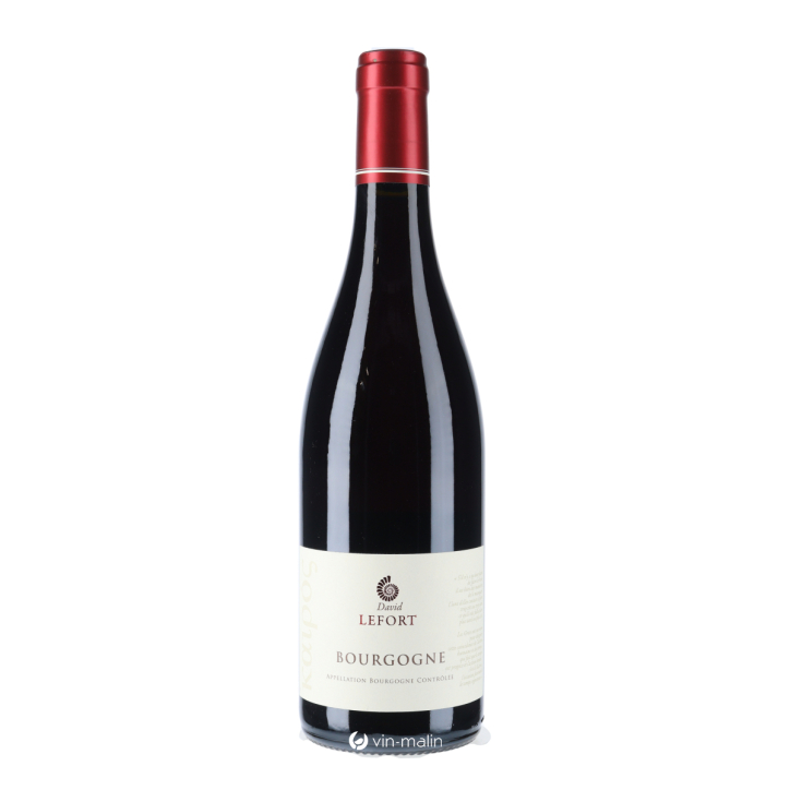 David Lefort Bourgogne Rouge 2023
