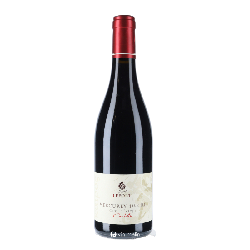 David Lefort - Mercurey 1er Cru Castille 2023 - Bourgogne | Vin-malin