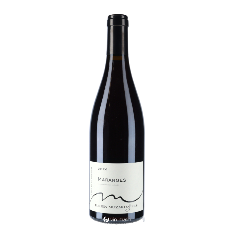 Lucien Muzard & Fils Maranges Rouge 2024 Vin de Bourgogne | Vin Malin