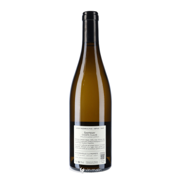 Lucien Muzard & Fils Santenay Les Champs Claude Blanc 2024 | Vin Malin