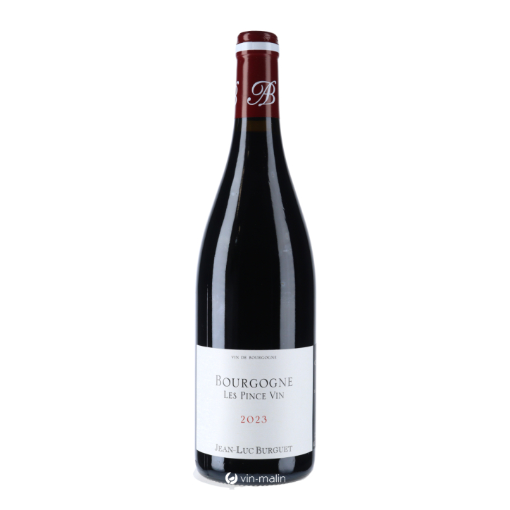 Domaine Jean-Luc Burguet Bourgogne Pinot Noir "Les Pince Vin" 2023
