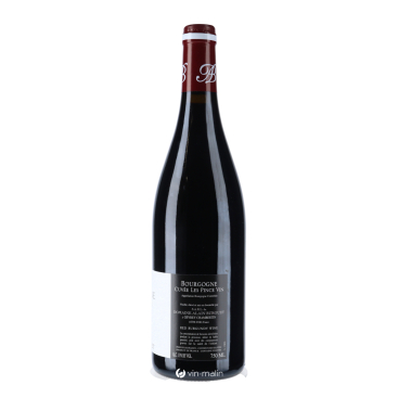 Jean-Luc Burguet Bourgogne Les Pince Vin Rouge 2023 | Achat Vin Malin