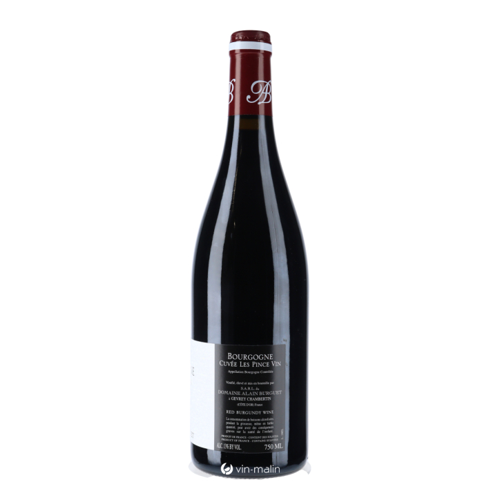 Domaine Jean-Luc Burguet Bourgogne Pinot Noir "Les Pince Vin" 2023