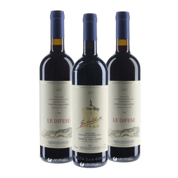 Coffret vins "Initiation Tenuta San Guido" 3 bouteilles