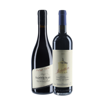 Coffret Le Duo de Caractère – Guidalberto & Santenay | Vin-malin