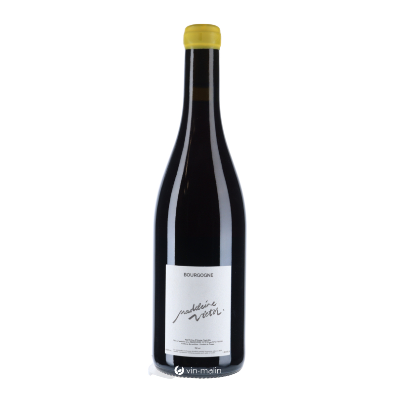 Madeleine Victor Bourgogne rouge 2021 - Pinot Noir achat | Vin Malin