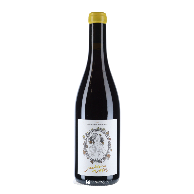 Madeleine Victor Bourgogne rouge 2021 - Pinot Noir achat | Vin Malin
