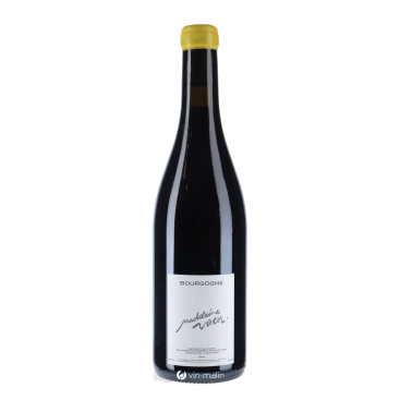 Madeleine Victor Bourgogne rouge 2022 - Pinot Noir achat | Vin Malin