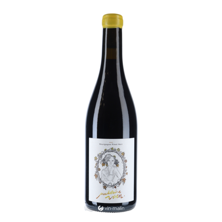 Madeleine Victor Bourgogne Rouge 2022 Madeleine Victor Bourgogne Rouge 2022