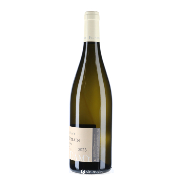 Prunier-Damy Saint-Romain Sous le Château Blanc 2023 | Achat Vin Malin