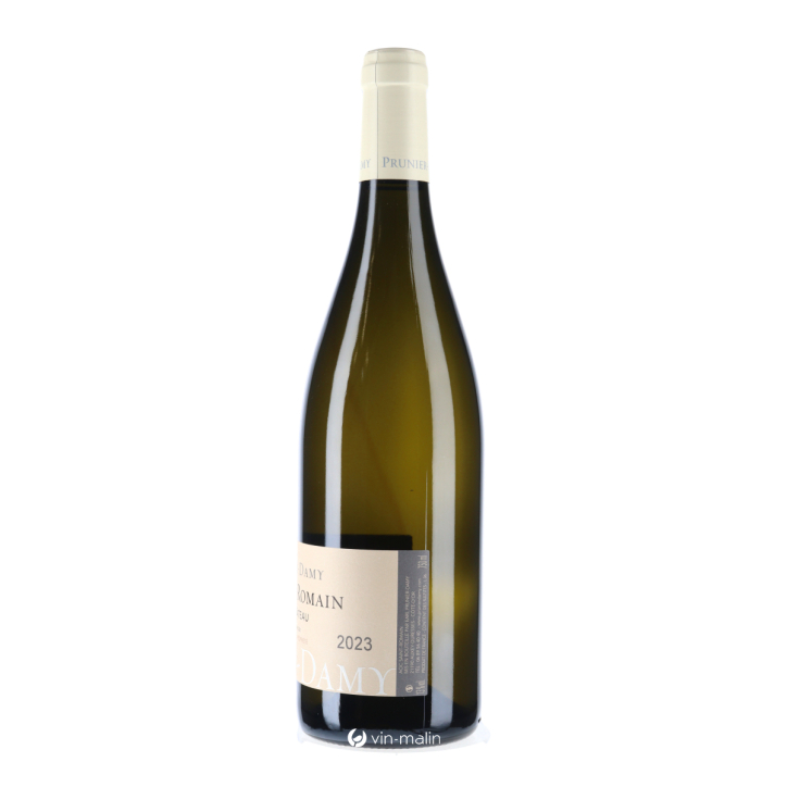 Domaine Prunier-Damy Saint-Romain "Sous Le Château" 2023