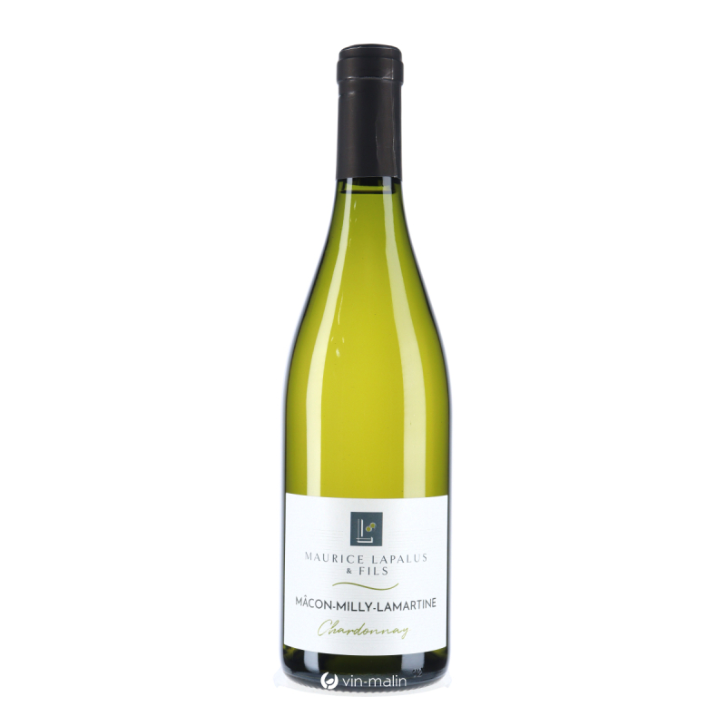 Maurice Lapalus Mâcon Milly-Lamartine Blanc 2025 - vin rouge|Vin Malin