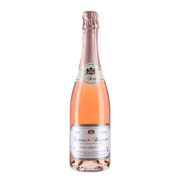 Bailly Lapierre Crémant Bourgogne Lyonel Leconte Rosé 2023 | Vin Malin