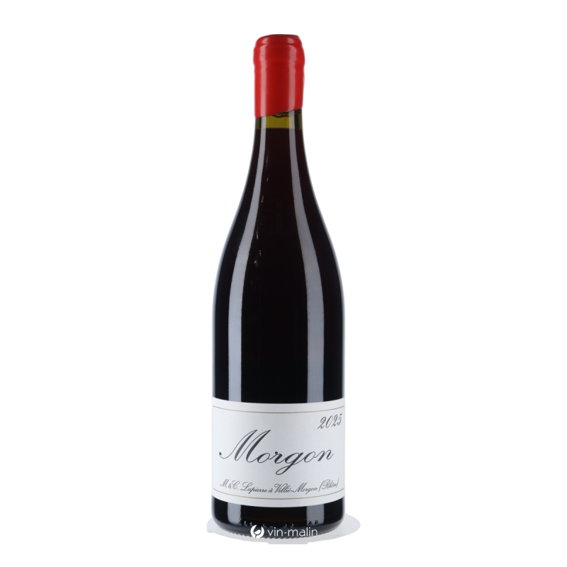 Marcel Lapierre Morgon 2025 - Vin rouge bio du Beaujolais | Vin Malin Marcel Lapierre Morgon 2025 - Vin rouge bio du Beaujolais | Vin Malin