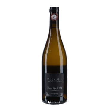 Domaine Simon Bize Savigny-Les-Beaune Blanc 2023 en vente | Vin-malin