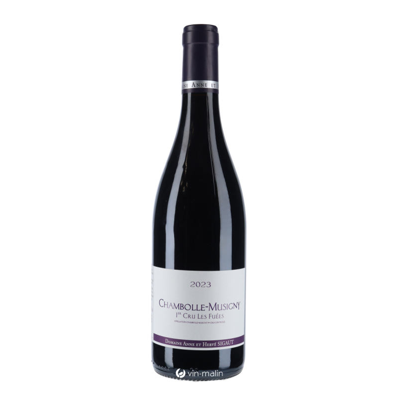 Domaine Sigaut Chambolle-Musigny Les Fuées Rouge 2023 AOC | Vin-malin