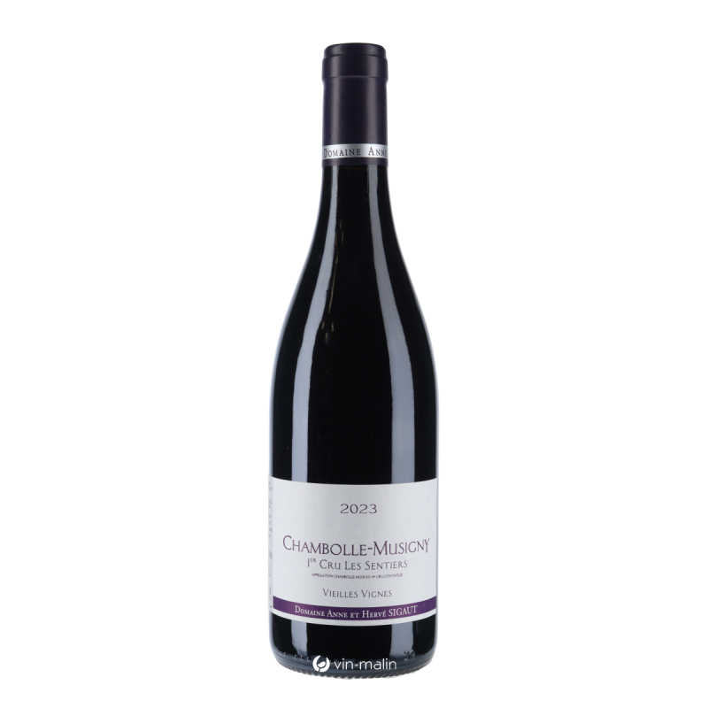 Domaine Sigaut Chambolle-Musigny Sentiers V.V. Rouge 2023 | Vin-malin