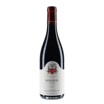 Domaine Geantet-Pansiot Bourgogne AOC Pinot Fin Rouge 2023 | Vin-malin