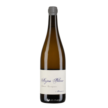 Anjou À Françoise Blanc 2023 Thibaud Boudignon | Vin Malin