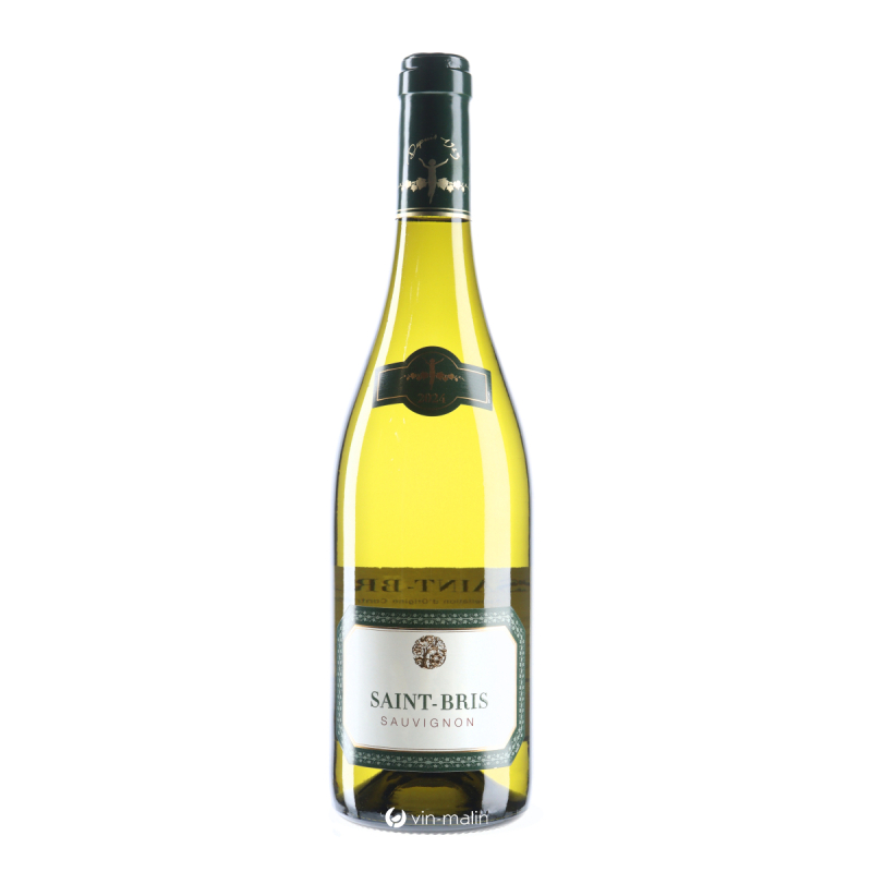 La Chablisienne Saint-Bris Sauvignon Blanc 2024, Bourgogne | Vin Malin