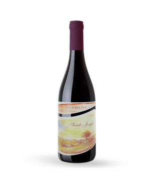 Domaine Pierre Gaillard Saint-Joseph 2012 - vin rouge du Rhône